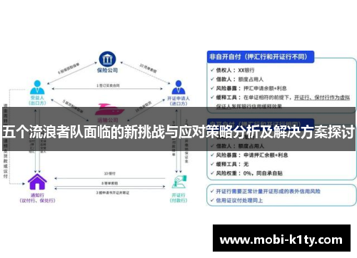 五个流浪者队面临的新挑战与应对策略分析及解决方案探讨