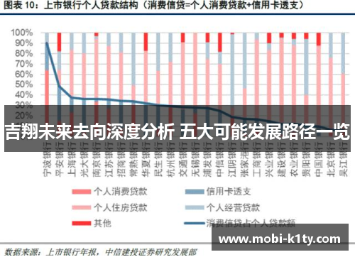 吉翔未来去向深度分析 五大可能发展路径一览