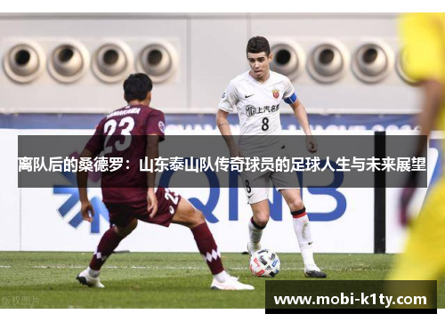 离队后的桑德罗：山东泰山队传奇球员的足球人生与未来展望