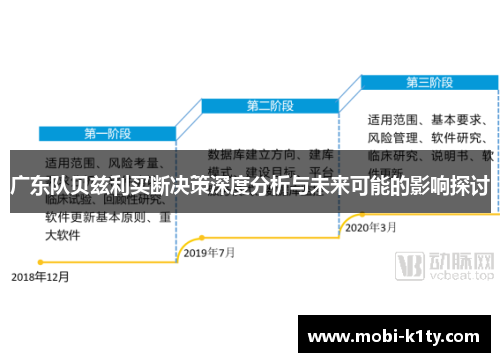 广东队贝兹利买断决策深度分析与未来可能的影响探讨