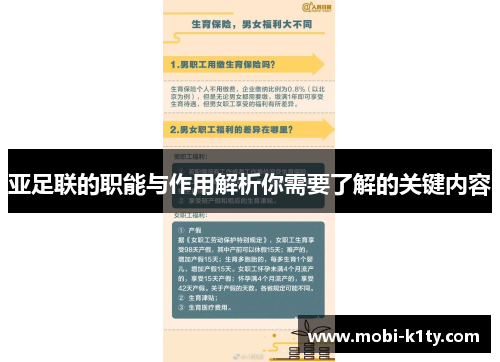 亚足联的职能与作用解析你需要了解的关键内容